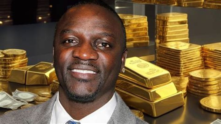 Akon Net Worth: Music Career & Investments