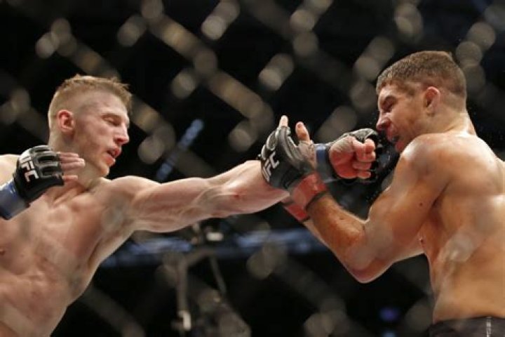 Al Iaquinta Net Worth - Wiki, Age, Weight and Height, Relationships, Family, and More