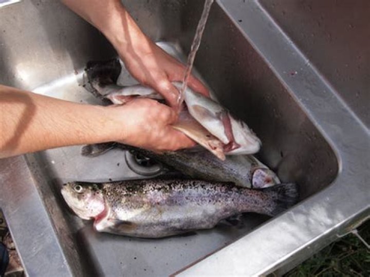 Are Grenal fish good to eat?