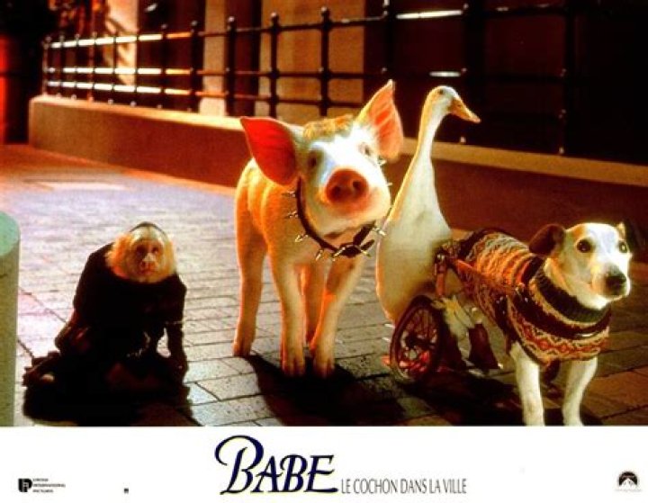 Babe: Pig in the City - Cast, Ages, Trivia