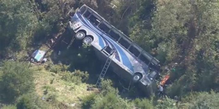 Beatrice Ferrari Accident Linked To Death Cause And Farmingdale Teacher Obituary