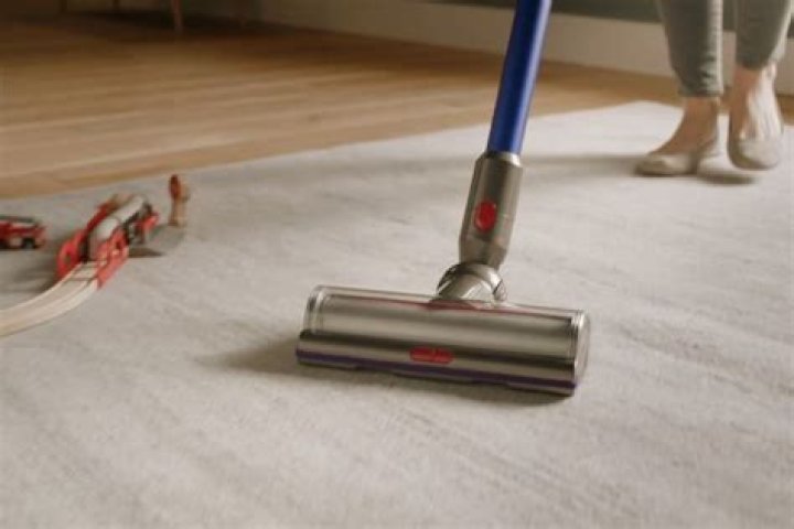 Can Dyson vacuum wet carpet?