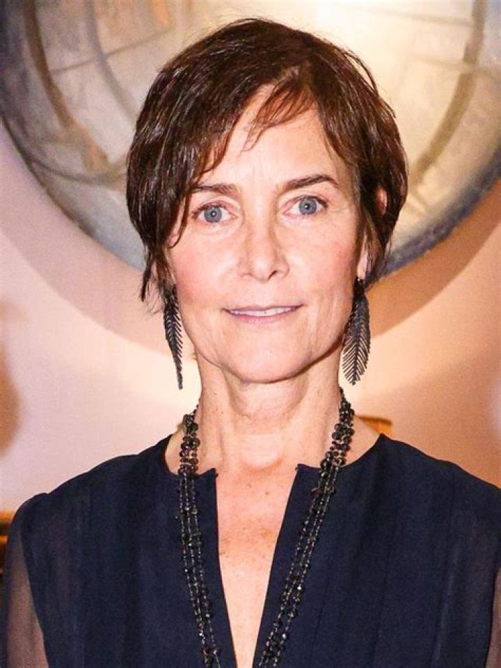Carey lowell Bio (Wiki) 