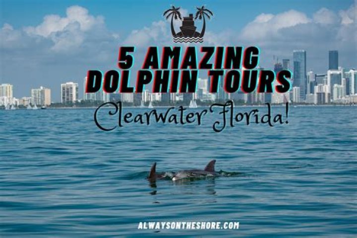 Celebrities Born In Clearwater, Florida