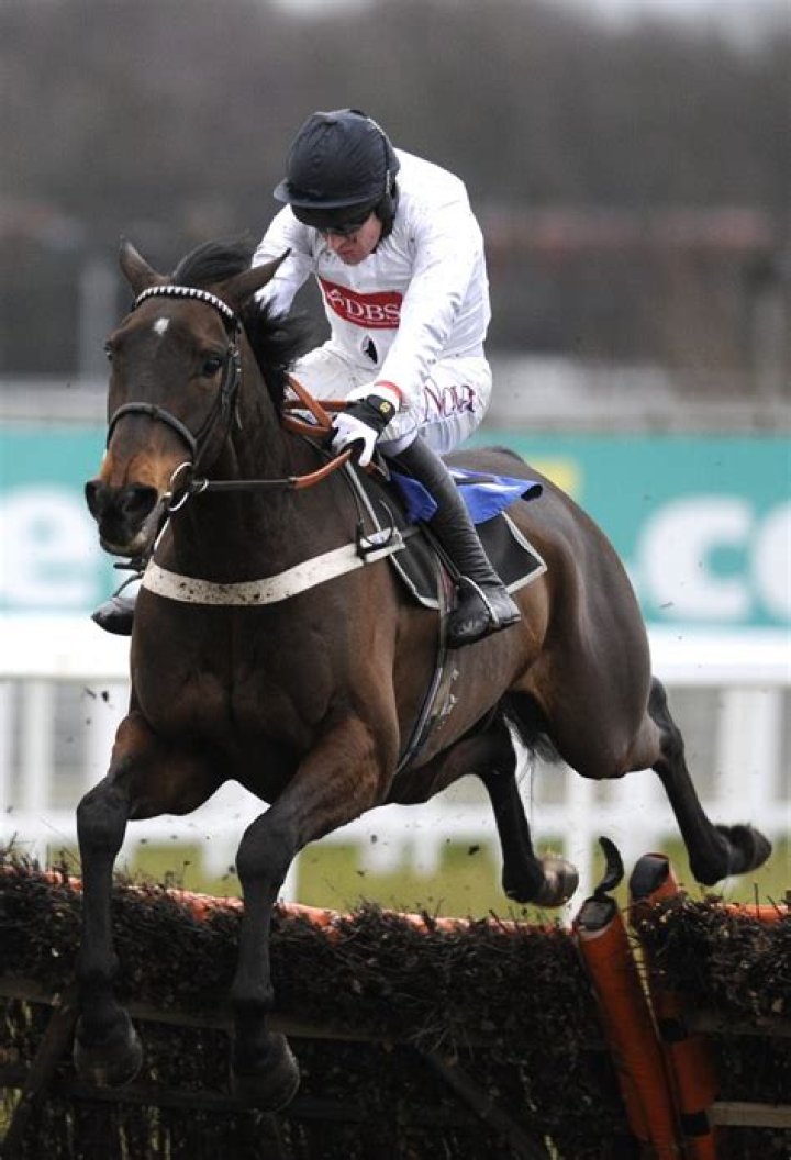 Charles Stanley Net Worth - Wiki, Age, Weight and Height, Relationships, Family, and More