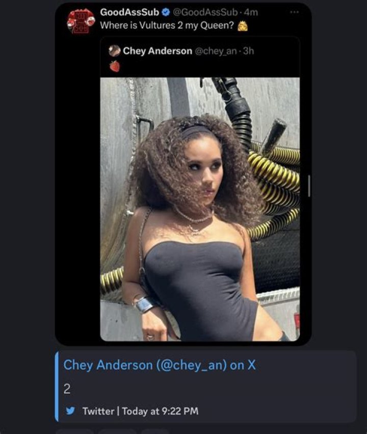 Chey Anderson - Age, Family, Bio