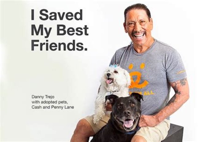 Danny Trejo Net Worth: Books & Charity