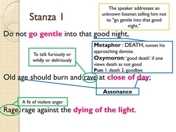 Do not go gentle literary devices?