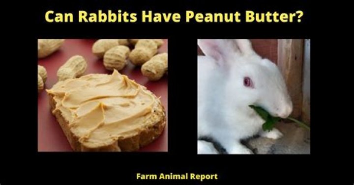Do rabbits like peanut butter?