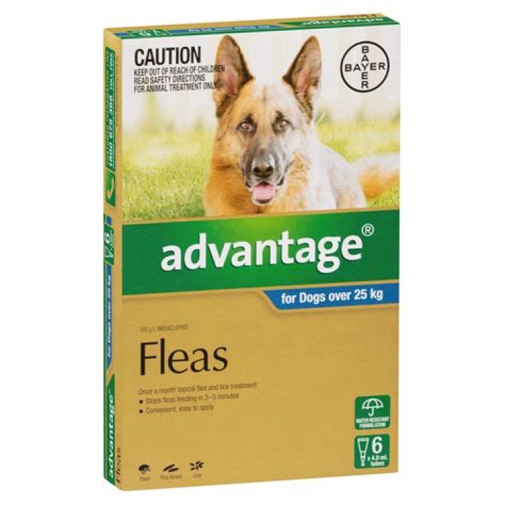 Does Advantage flea treatment expire?