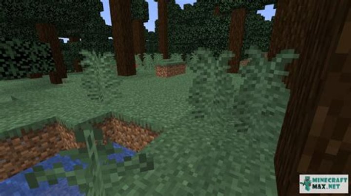 Fern in Minecraft