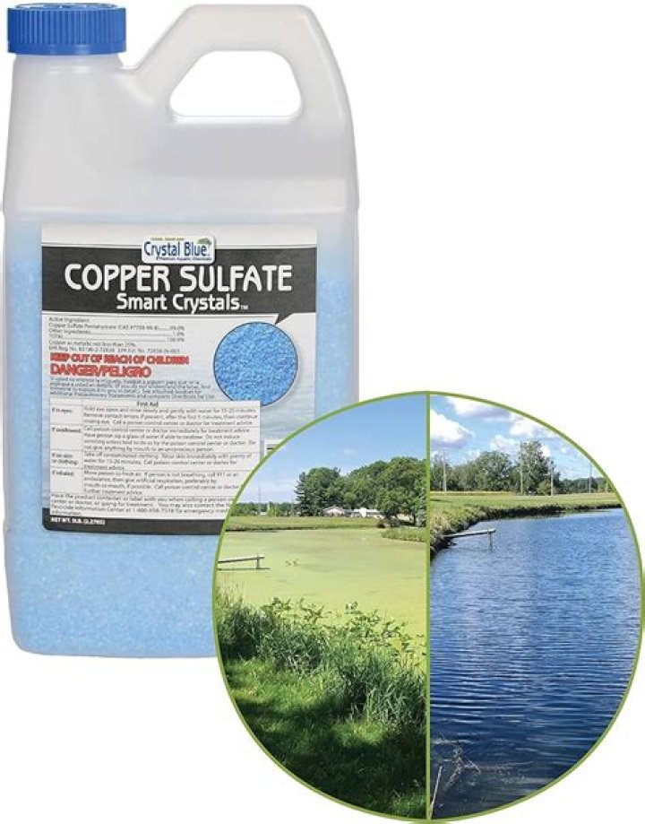 How much copper sulfate do you put in a pond?