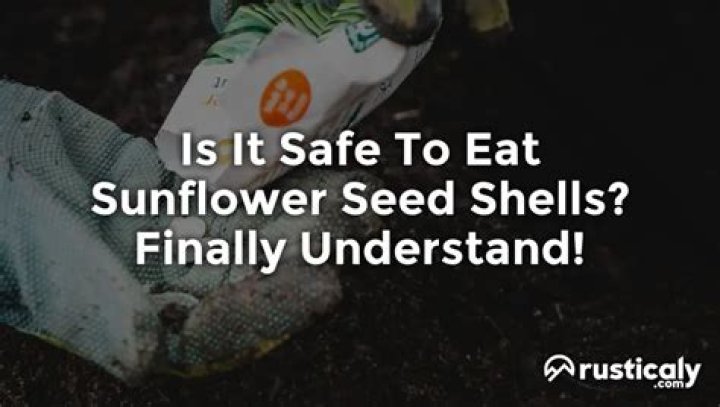Is it safe to eat sunflower seed shells while pregnant?