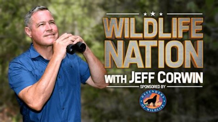 Jeff Corwin Bio (Wiki) 