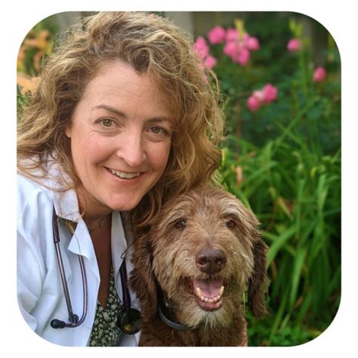 Kitty Szekely Bio (Wiki) 