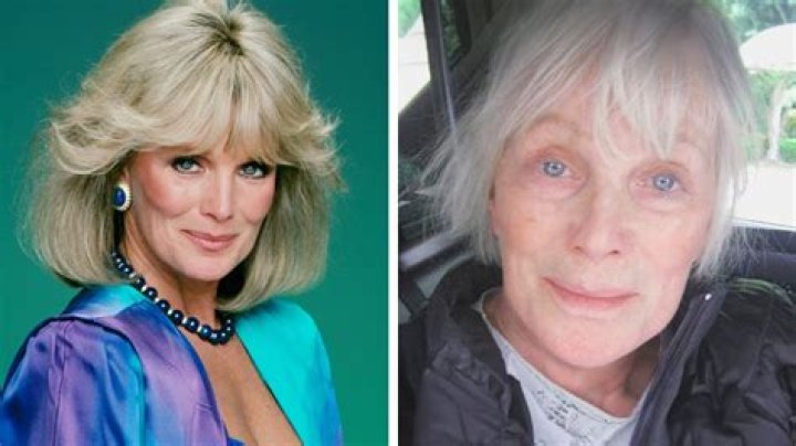 Linda Evans Net Worth - Wiki, Age, Weight and Height, Relationships, Family, and More