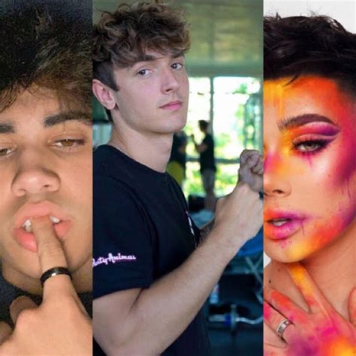 Mattia Polibio Bio (Wiki) 