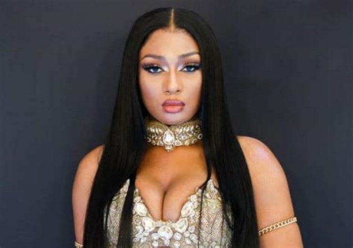 Megan Thee Stallion Bio (Wiki) 