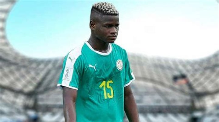 Mikayil Faye Parents Religion And Ethnicity