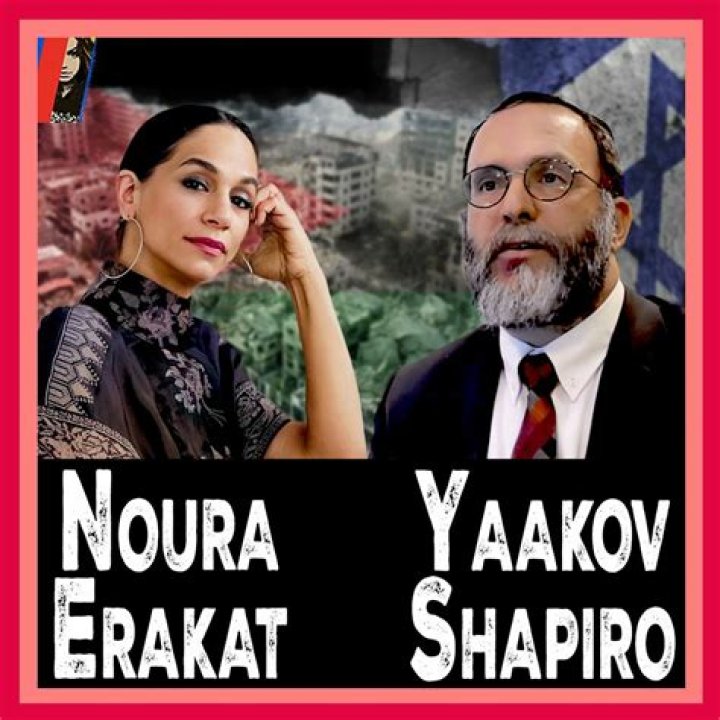 Noura Erakat Bio (Wiki) 