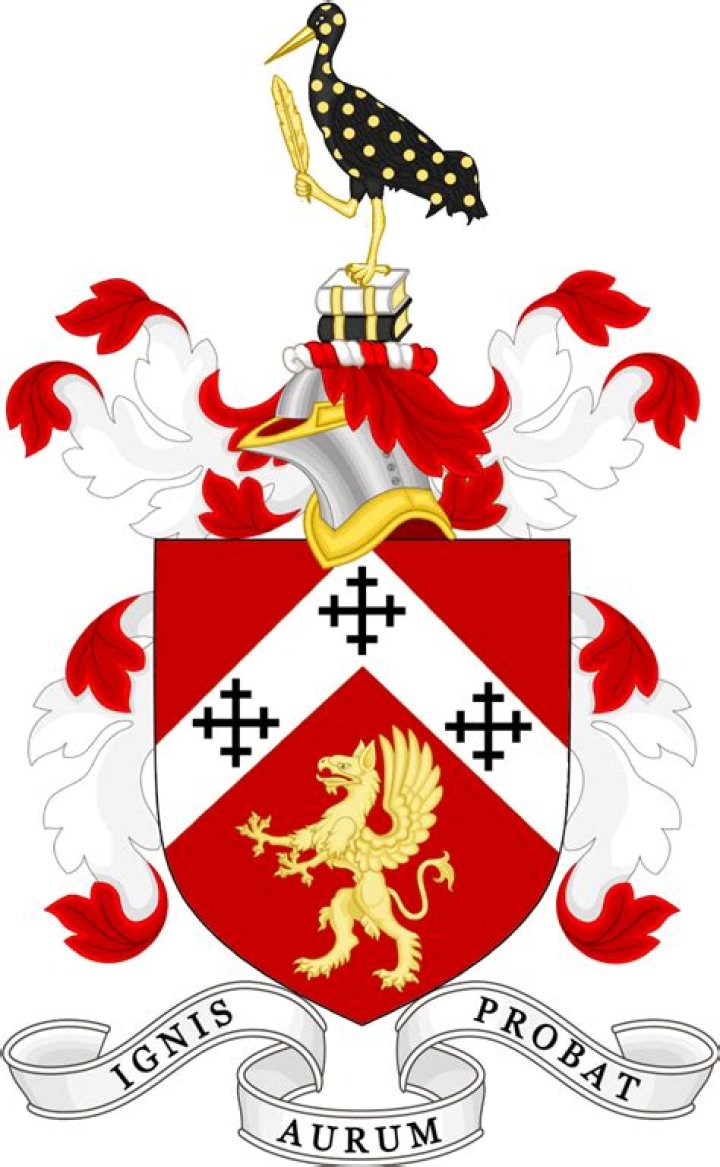 Oana Chelaru - Age, Family, Bio