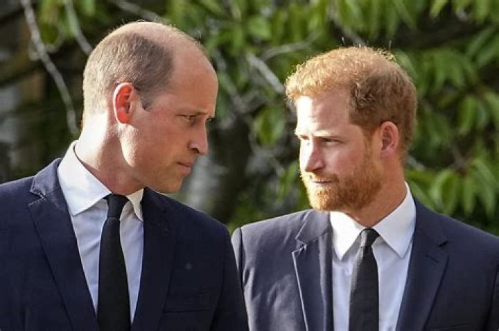 Prince William is jealous of Harry, thinks that the heir should get more attention