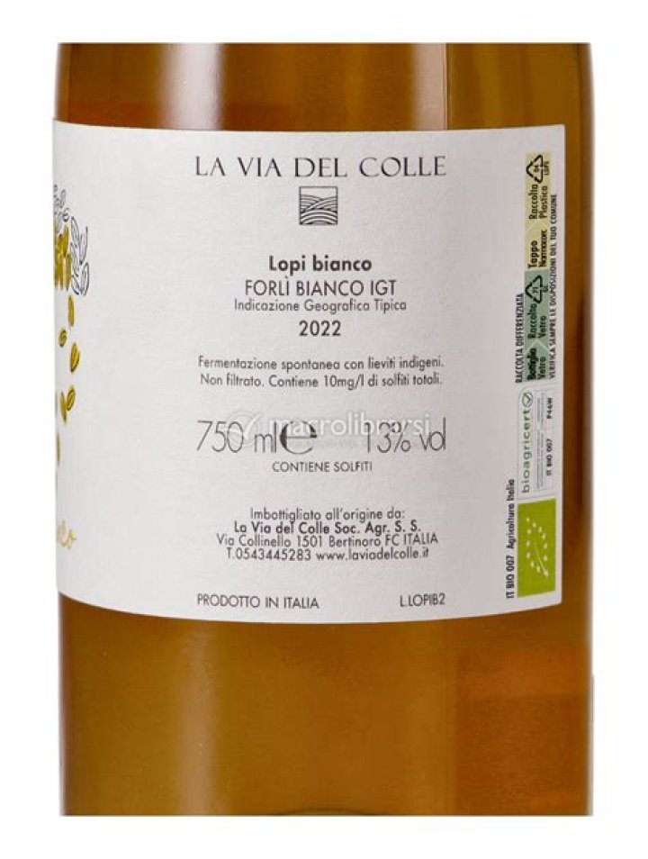 Rose Bianco Bio (Wiki) 