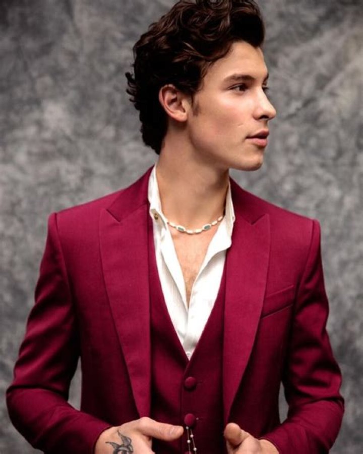 Shawn Mendes Bio (Wiki) 