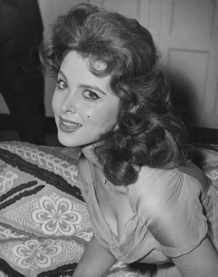 Tina Louise Net Worth - Wiki, Age, Weight and Height, Relationships, Family, and More
