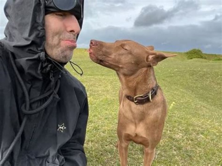 Tom Hardy & his rescue dog Woodstock star in a PETA ‘adoption is love’ ad