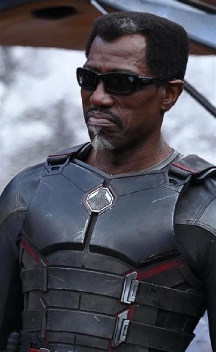 Wesley Snipes Bio (Wiki) 