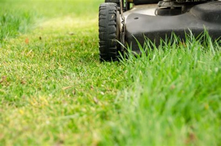 What does it mean to cut the grass?