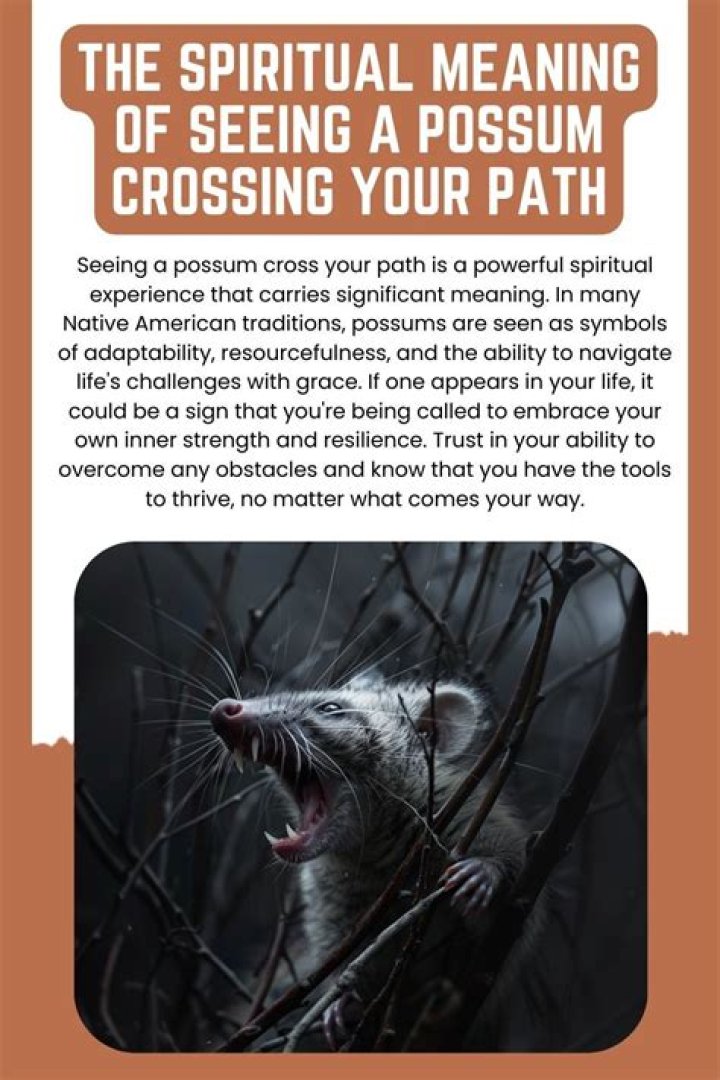 What does it mean when a groundhog crosses your path?