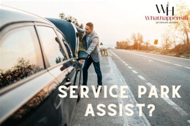 What does it mean when it says service park assist?