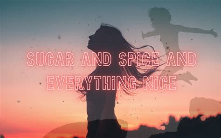 What does sugar spice and everything nice mean?