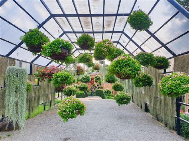 What is an indoor greenhouse called?