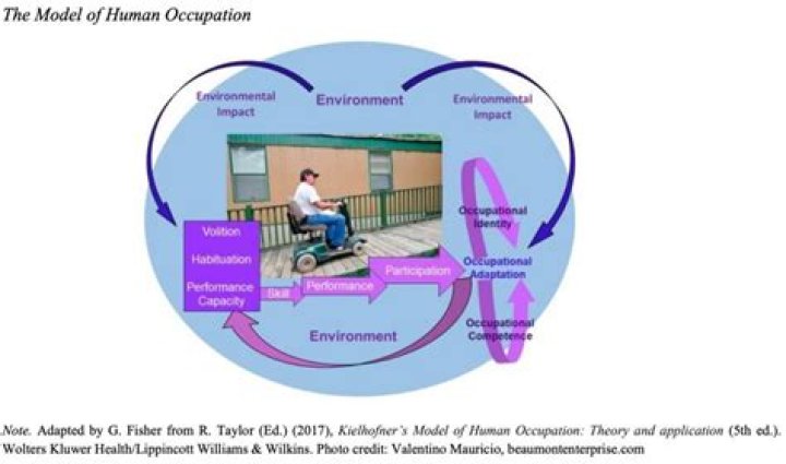 What is the Mohost assessment?