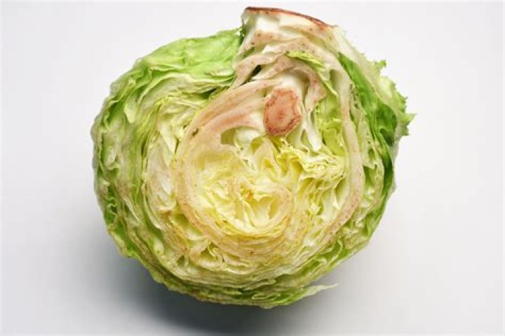 Why does iceberg lettuce turn pink?