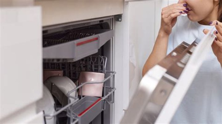 Why does my new Bosch dishwasher stink?